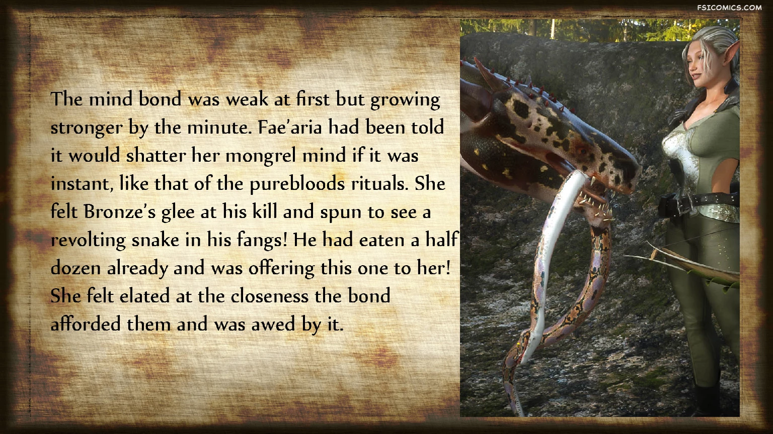 The Chronicles of DunRagon Chapter 1 The Half Elf 3DZen FSIComics.com 11 - FSIComics