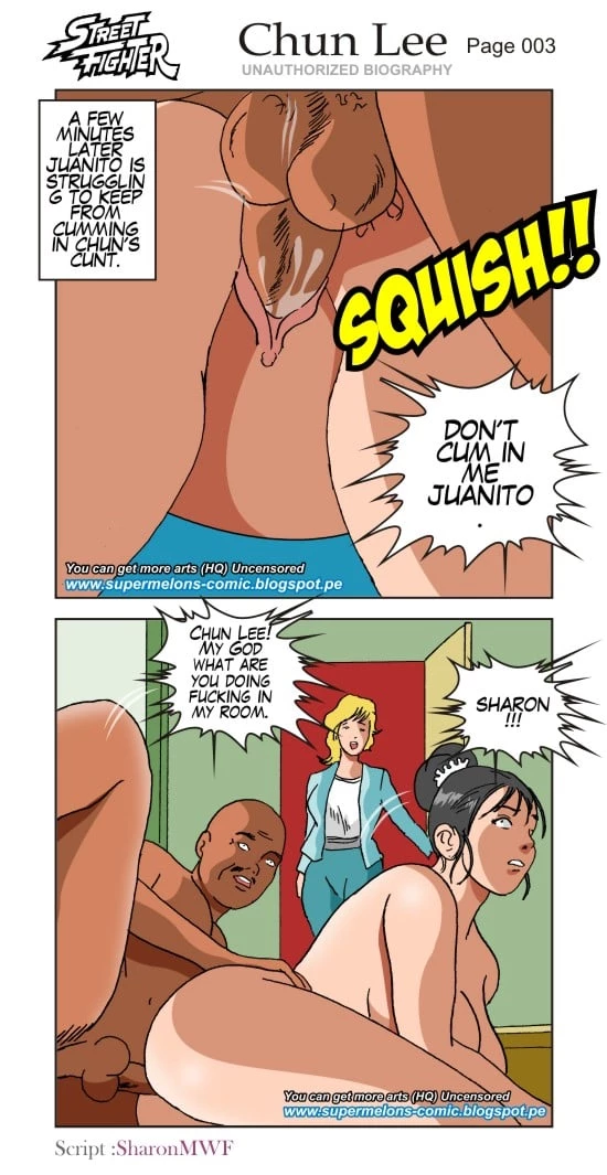 Chun Li Unauthorized Biograph Super Melons FSIComics.com 4 - FSIComics