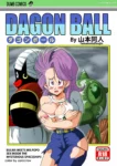 dagon-ball-bulma-meets-mr-popo-yamamoto-001